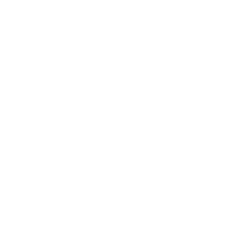 ADICUS4D Logo